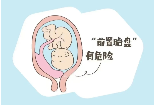微信截图_20241009092326.png