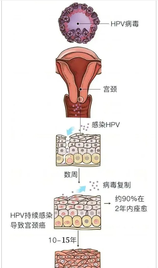 微信截图_20241219093210.png