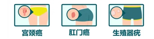 微信截图_20250206104428.png