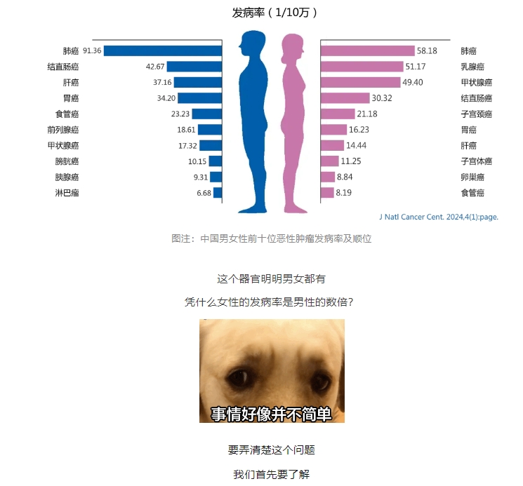 微信截图_20250208093941.png