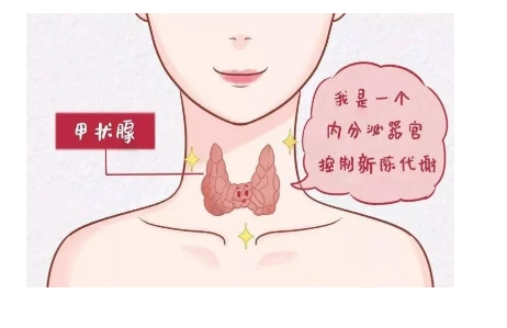 微信截图_20250208094101.png